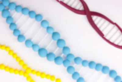 遺伝との関係も　うつ病誘発しやすいウイルス遺伝子変異　慈恵医大研究班が発見